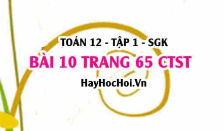 Bài 10 trang 65 Toán 12 tập 1 Chân trời sáng tạo